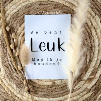 Kaartje 'Je bent leuk, mag ik je houden?'